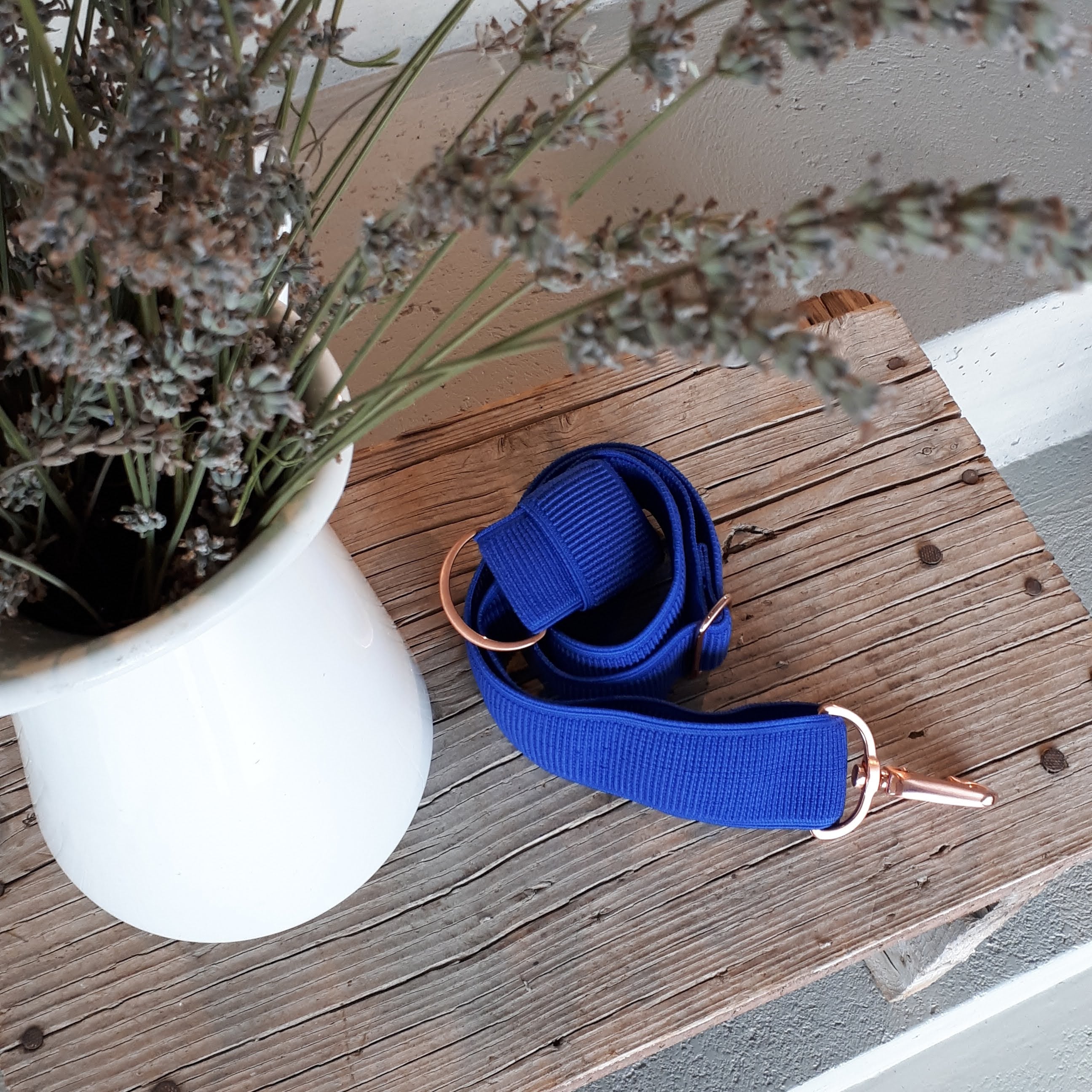 Gurt elastic königsblau